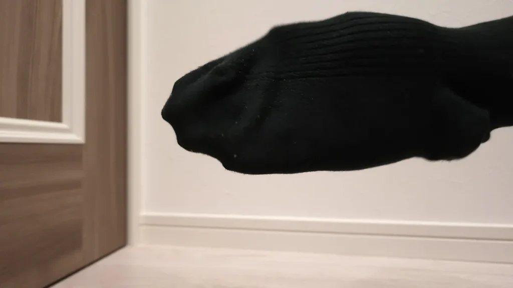 手ではたいた後の黒い靴下（白さが目立たない）
